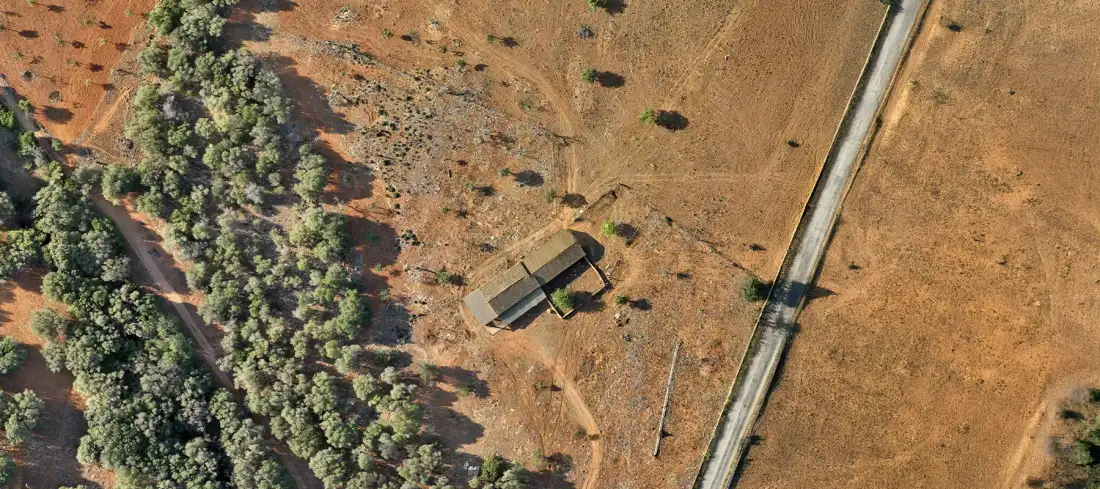 Ortomosaico de un camino rodeado de campos y arbolado